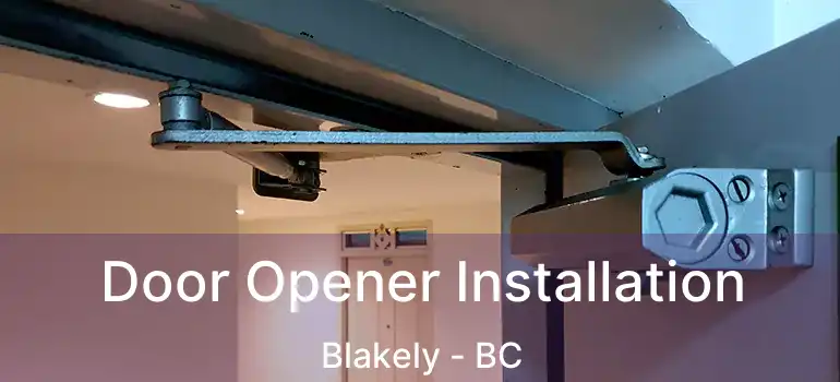  Door Opener Installation Blakely - BC