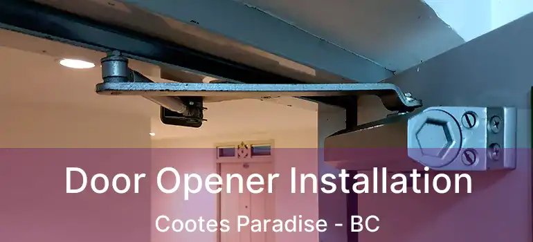 Door Opener Installation Cootes Paradise - BC