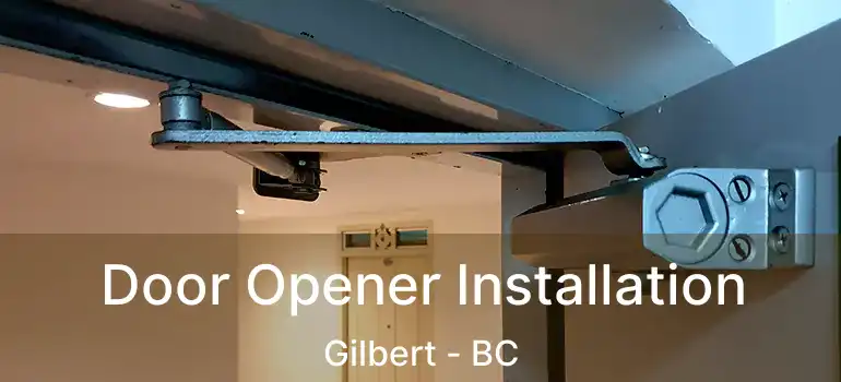  Door Opener Installation Gilbert - BC