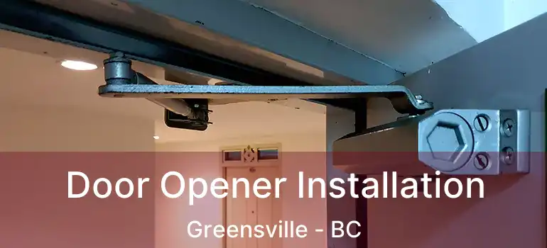  Door Opener Installation Greensville - BC