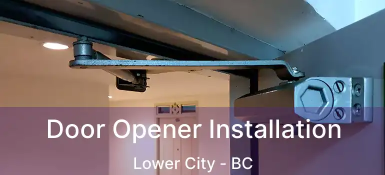  Door Opener Installation Lower City - BC