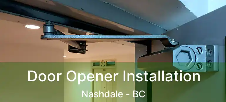  Door Opener Installation Nashdale - BC