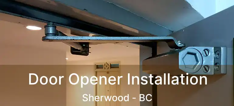  Door Opener Installation Sherwood - BC