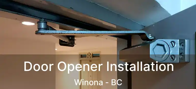  Door Opener Installation Winona - BC