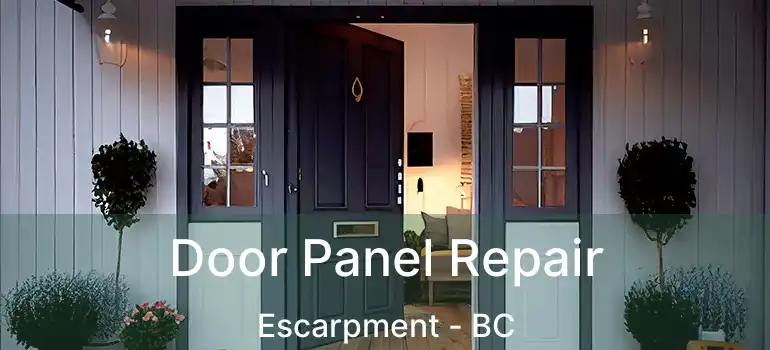  Door Panel Repair Escarpment - BC
