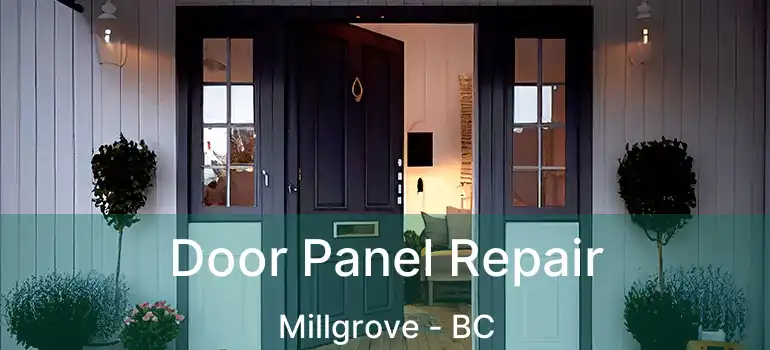  Door Panel Repair Millgrove - BC