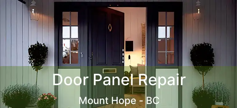  Door Panel Repair Mount Hope - BC