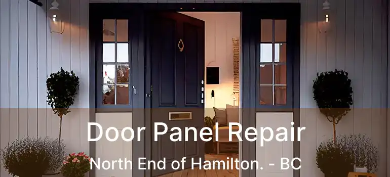  Door Panel Repair North End of Hamilton. - BC