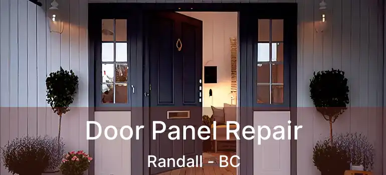  Door Panel Repair Randall - BC