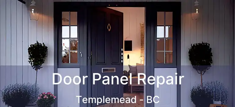  Door Panel Repair Templemead - BC
