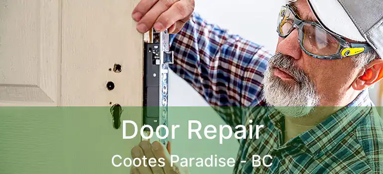  Door Repair Cootes Paradise - BC