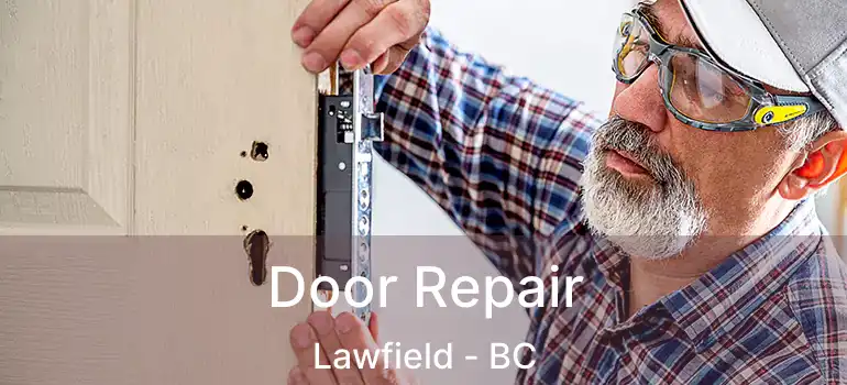 Door Repair Lawfield - BC
