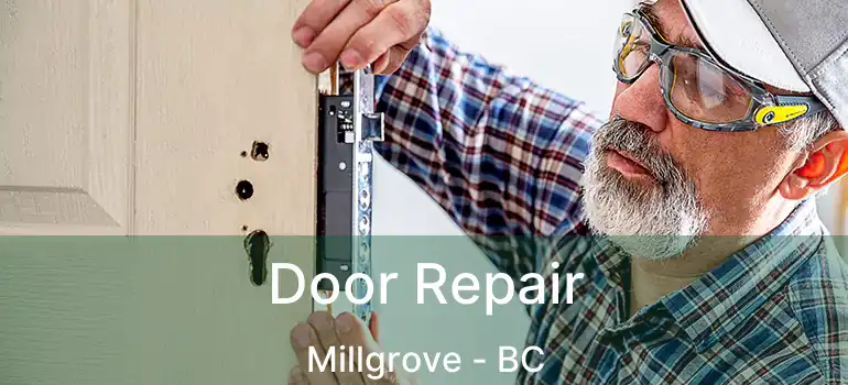  Door Repair Millgrove - BC
