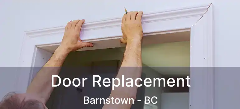 Door Replacement Barnstown - BC
