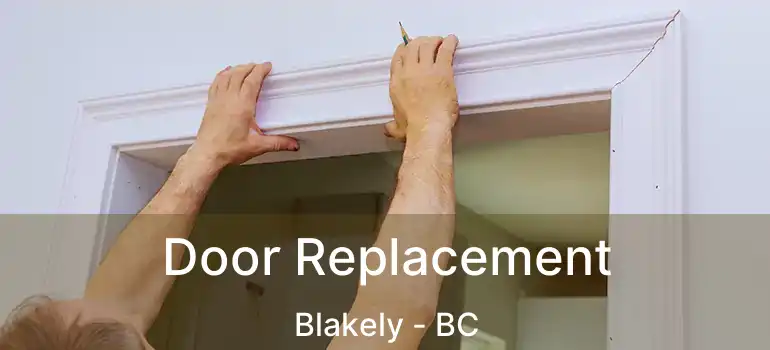  Door Replacement Blakely - BC