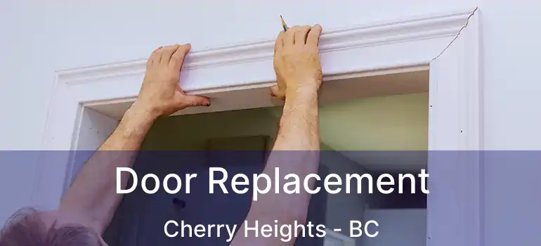  Door Replacement Cherry Heights - BC