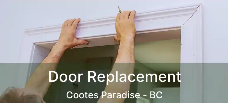  Door Replacement Cootes Paradise - BC
