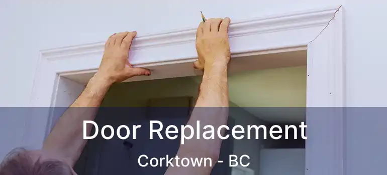  Door Replacement Corktown - BC