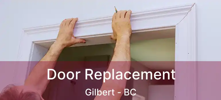  Door Replacement Gilbert - BC