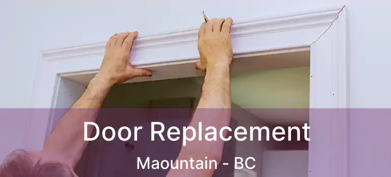  Door Replacement Maountain - BC