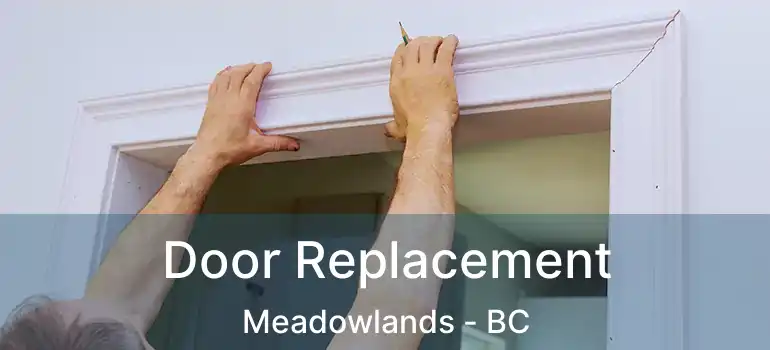  Door Replacement Meadowlands - BC