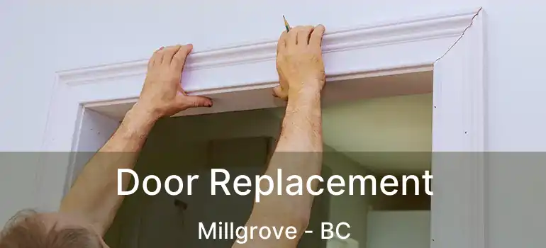  Door Replacement Millgrove - BC