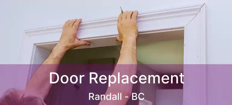  Door Replacement Randall - BC