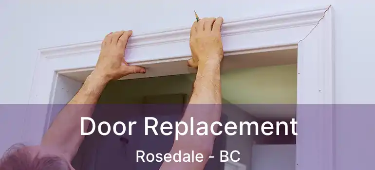  Door Replacement Rosedale - BC