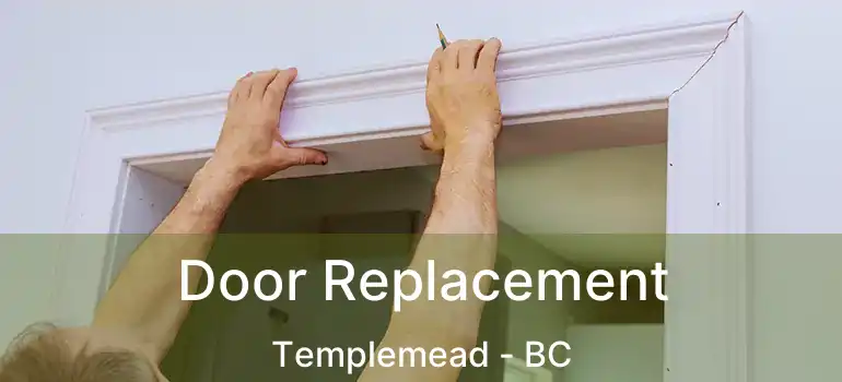  Door Replacement Templemead - BC