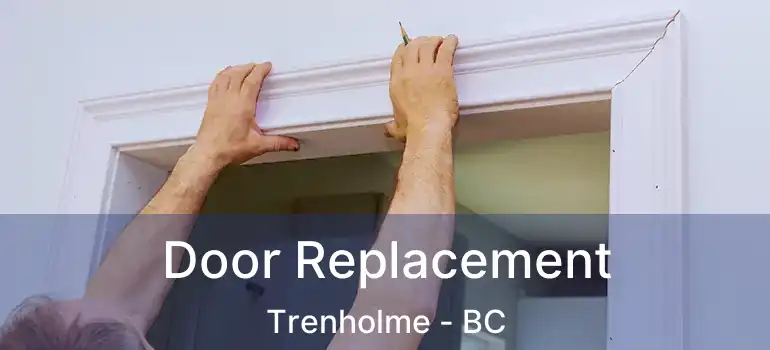  Door Replacement Trenholme - BC