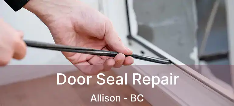  Door Seal Repair Allison - BC