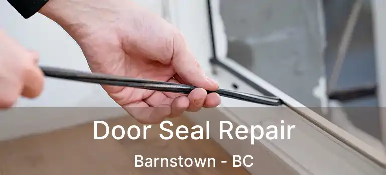  Door Seal Repair Barnstown - BC