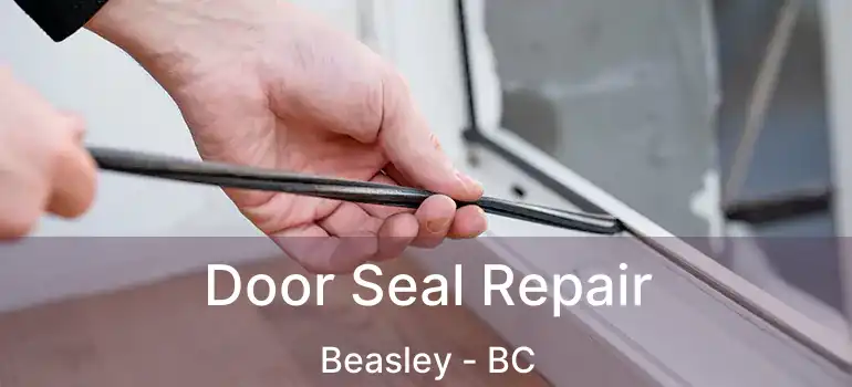  Door Seal Repair Beasley - BC