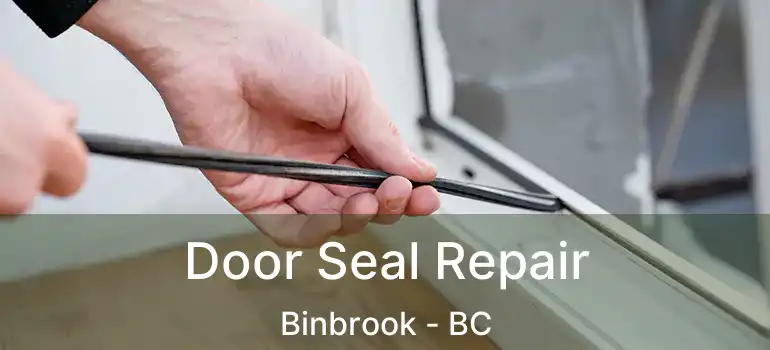  Door Seal Repair Binbrook - BC