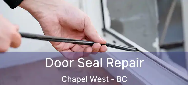  Door Seal Repair Chapel West - BC
