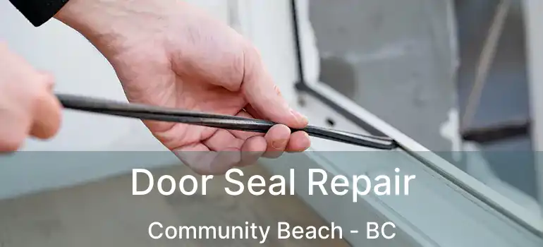  Door Seal Repair Community Beach - BC