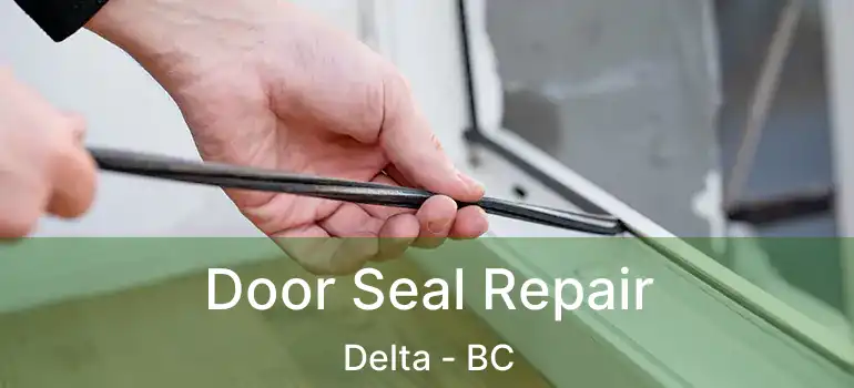  Door Seal Repair Delta - BC
