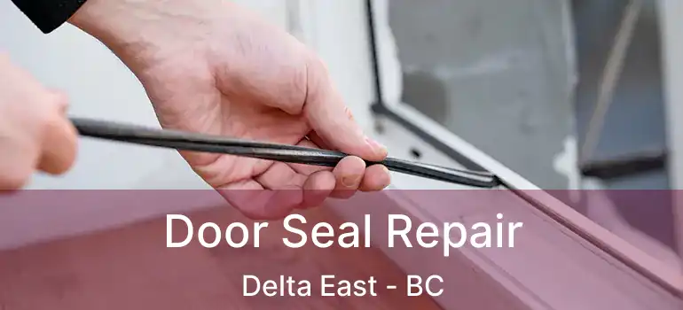  Door Seal Repair Delta East - BC