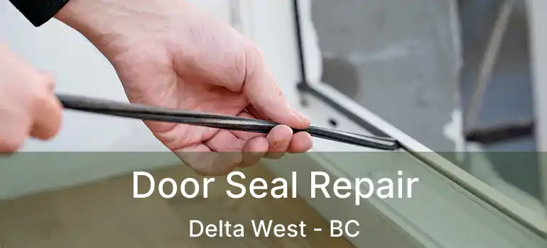  Door Seal Repair Delta West - BC