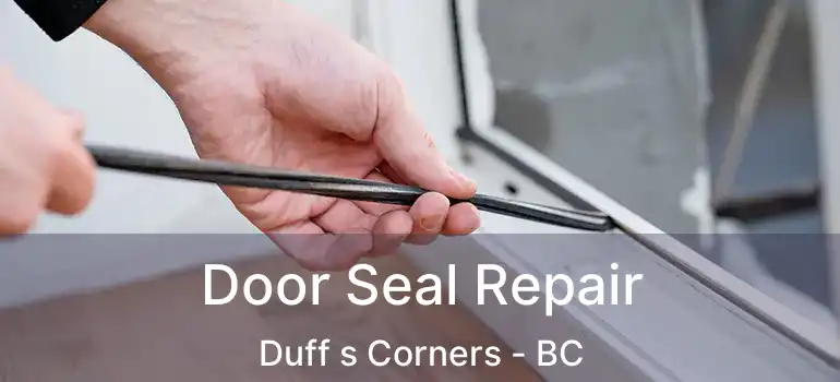  Door Seal Repair Duff s Corners - BC