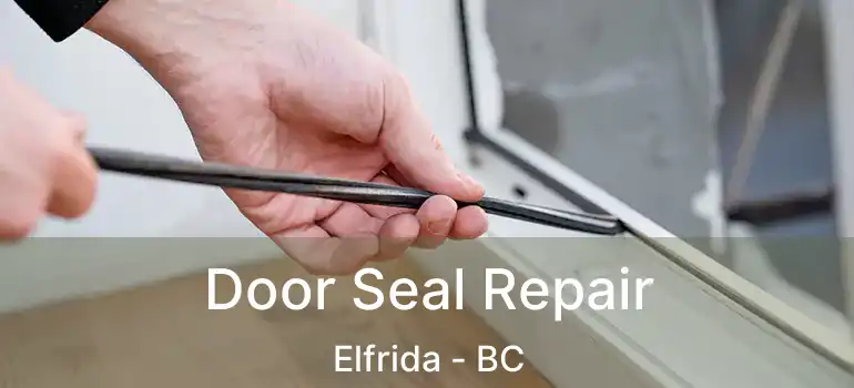  Door Seal Repair Elfrida - BC