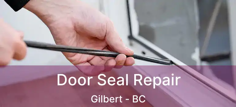  Door Seal Repair Gilbert - BC