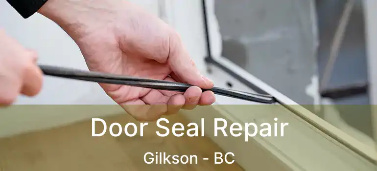  Door Seal Repair Gilkson - BC