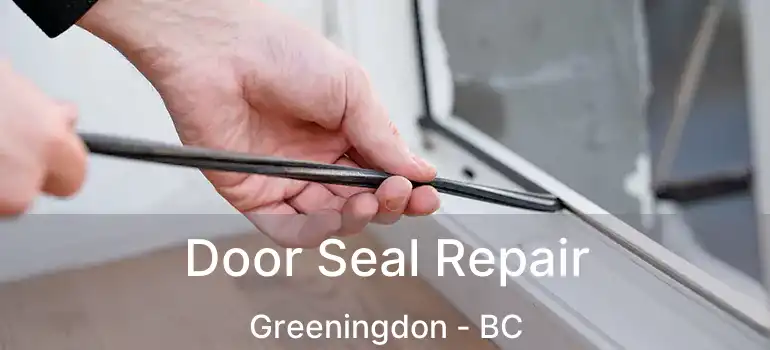  Door Seal Repair Greeningdon - BC