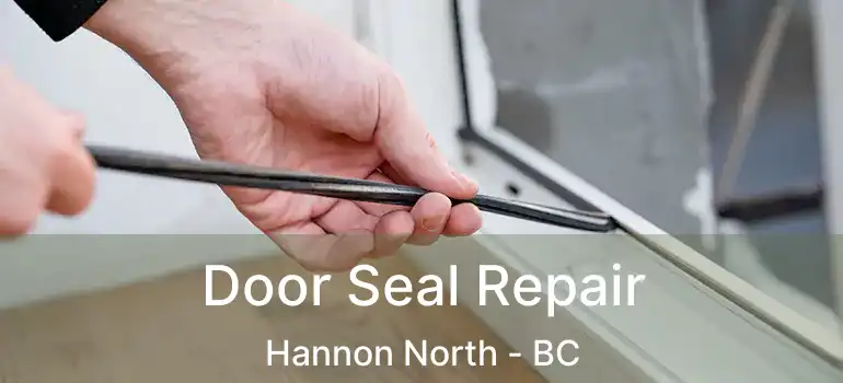  Door Seal Repair Hannon North - BC