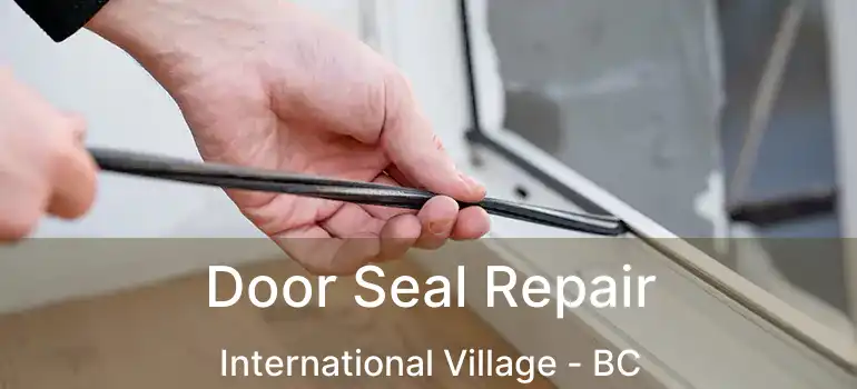  Door Seal Repair International Village - BC