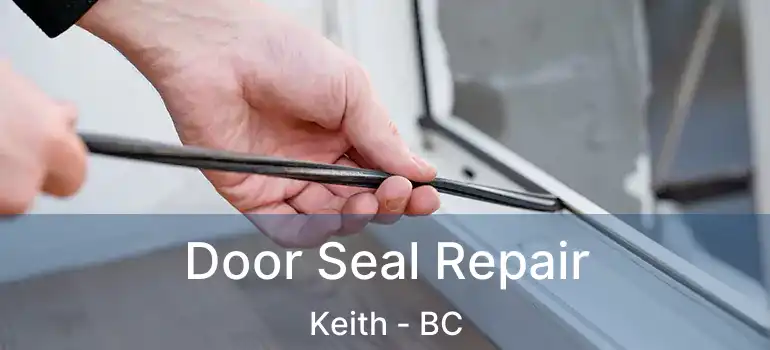  Door Seal Repair Keith - BC