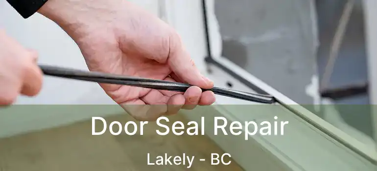  Door Seal Repair Lakely - BC