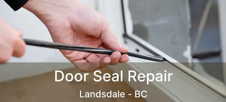  Door Seal Repair Landsdale - BC