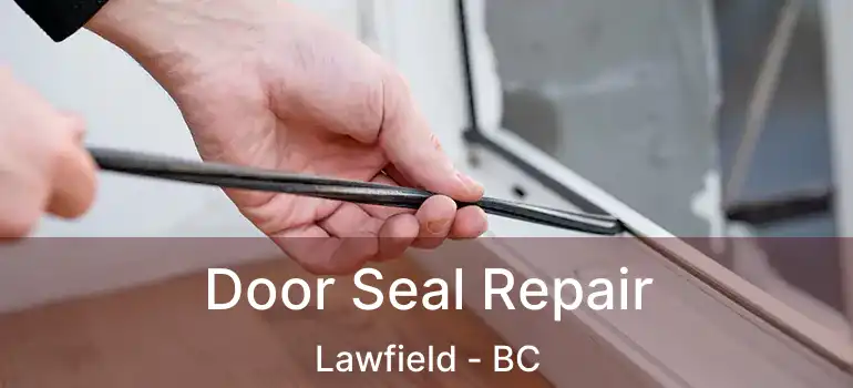  Door Seal Repair Lawfield - BC